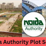 Noida Authority Plot Scheme 2024: Things you should know