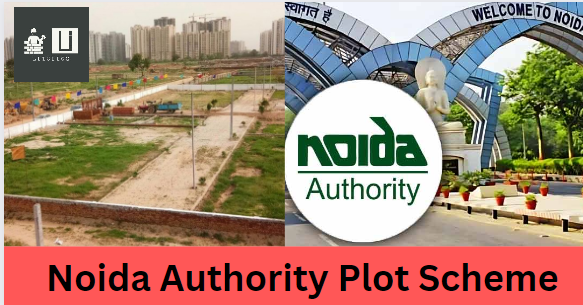 Noida Authority Plot Scheme 2024: Things you should know